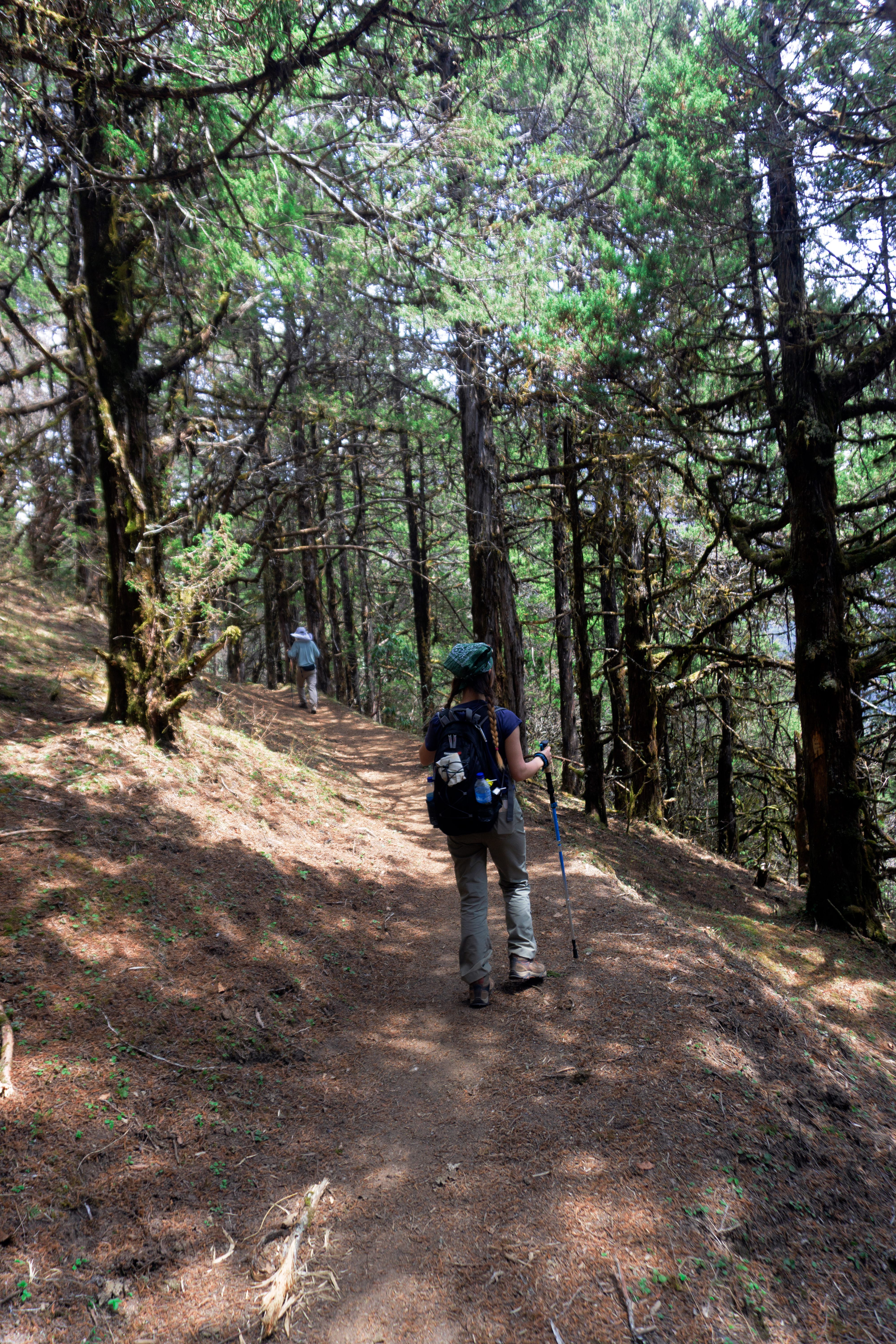 Druk Path Trek — mountain views