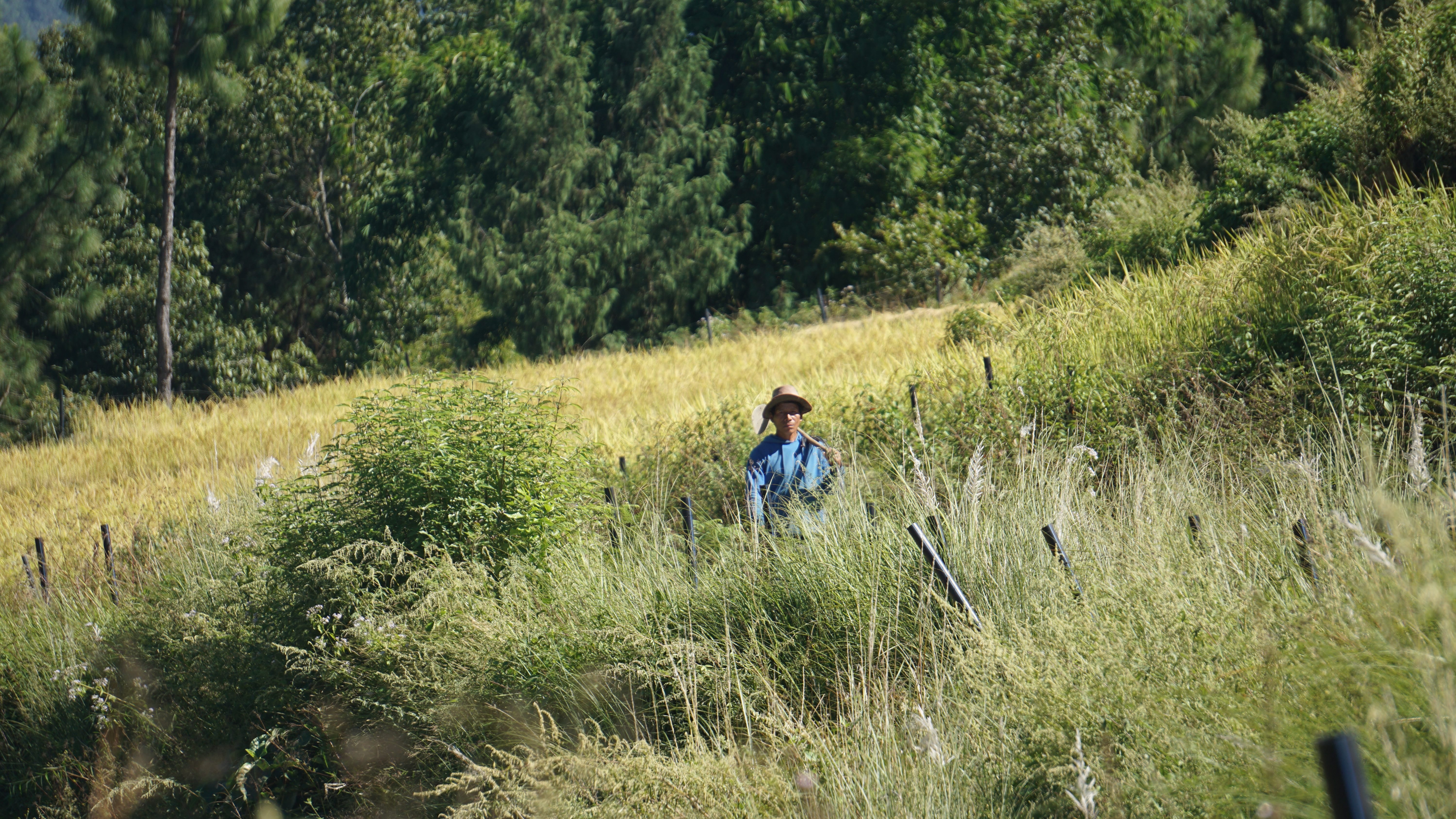 Walking in Bhutan